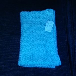 Ann Taylor Loft Scarf